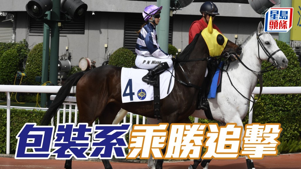 「包裝」系馬剛贏馬，今期「包裝旋風」(圖) 跑第二場四班2200米，且看能否再交出成績。