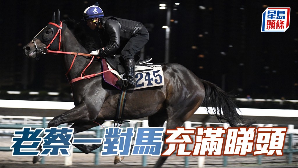 沙田早晨│老蔡一对马「绿野飞驰」(图) 及「魅力宝驹」充满睇头