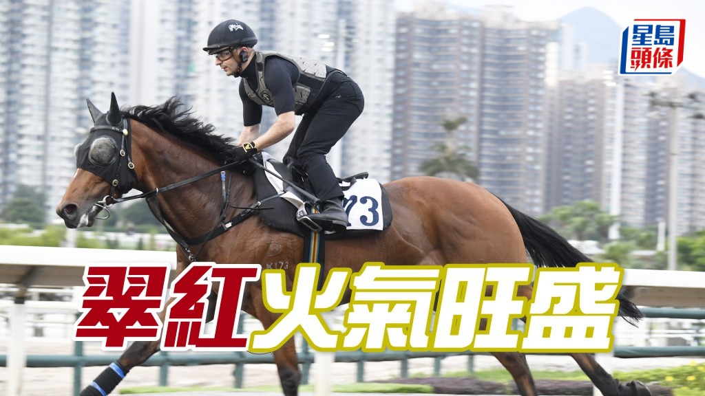 「翠红」神情专注目光如炬，有进无退佳态洋溢。