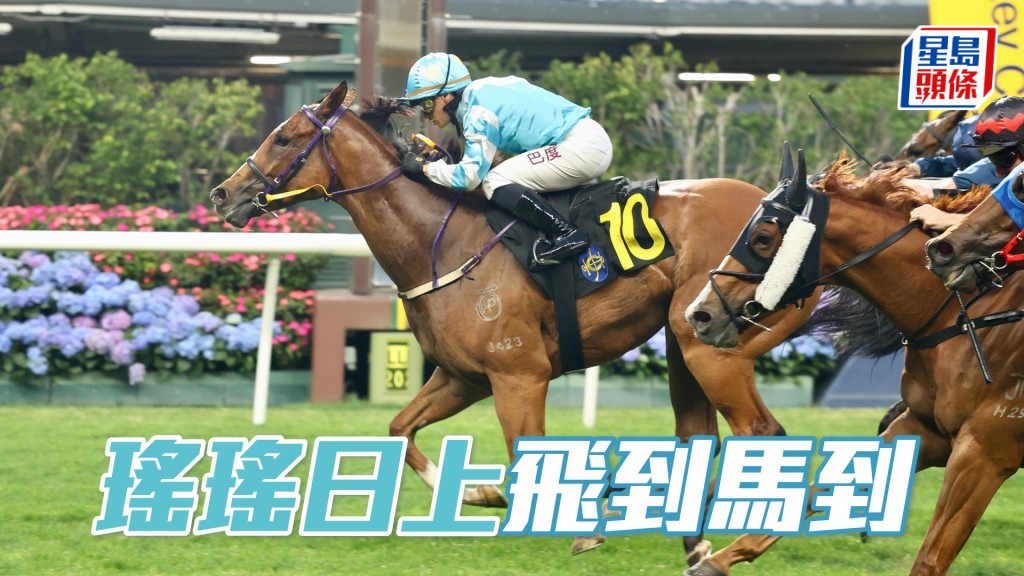 「瑤瑤日上」飛到馬到