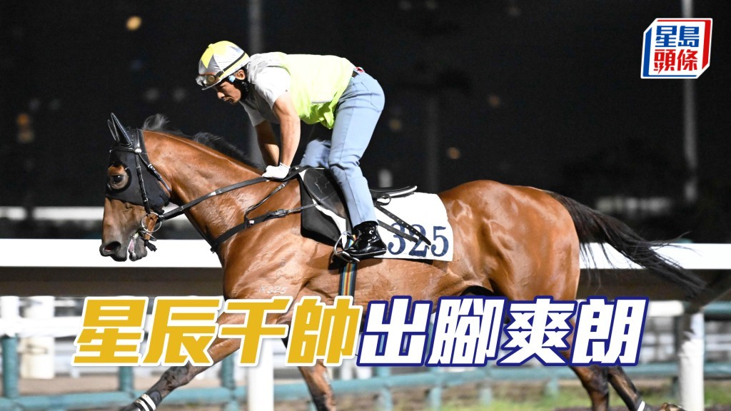 「星辰千帥」毛色悅目透光澤，佳態保持有餘。