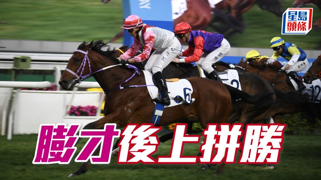 「膨才」頭三仗跑田草千二米全勝。