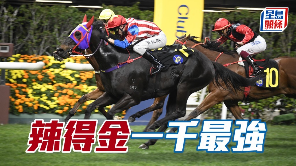 「辣得金」回師勝程排四檔,形勢跟贏馬時相似,有分頭可敲。