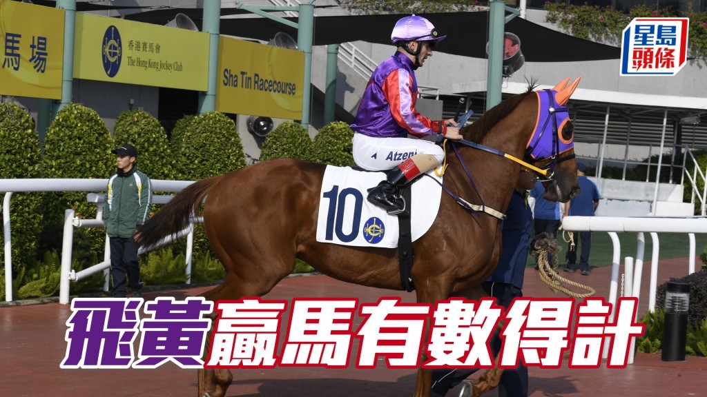 「飛黃」三歲馬進度理想,今場可見真章。