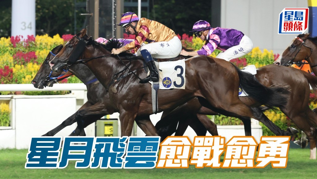 「星月飛雲」今仗是休出第四戰，狀態已臻勇境，值得高度注視。