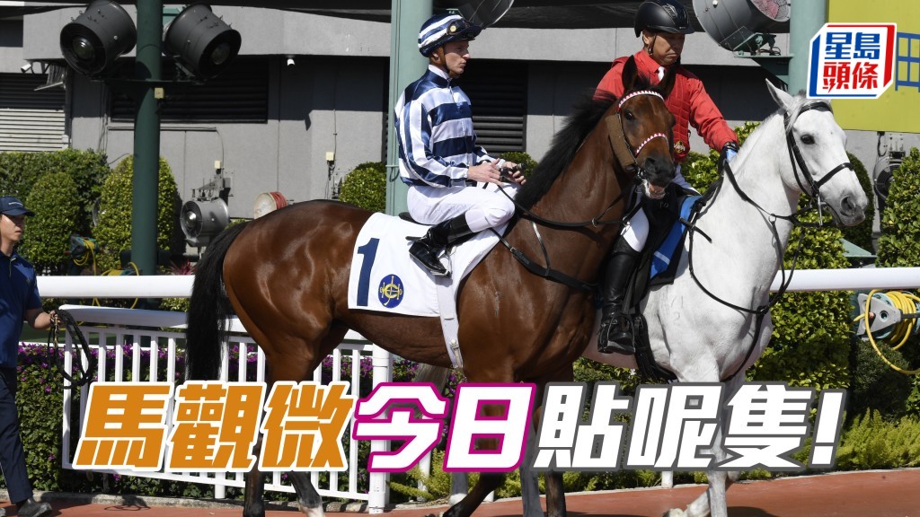 「包裝明將」擺明有料