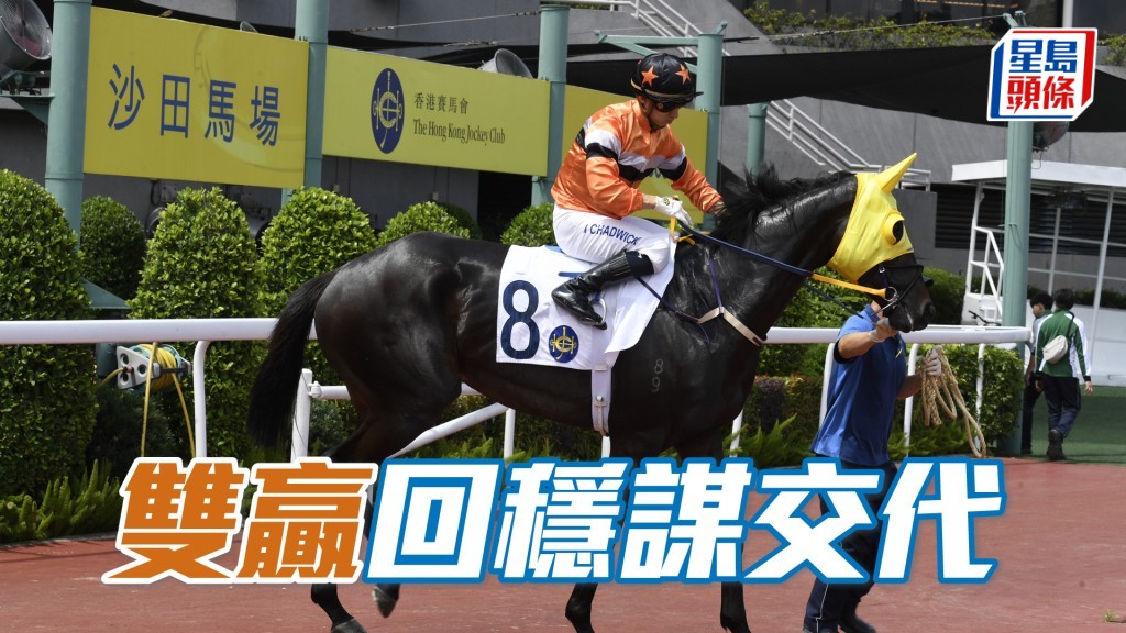 「雙贏」上仗彎位走外疊也入Q,今仗排檔轉佳可贏馬交代。