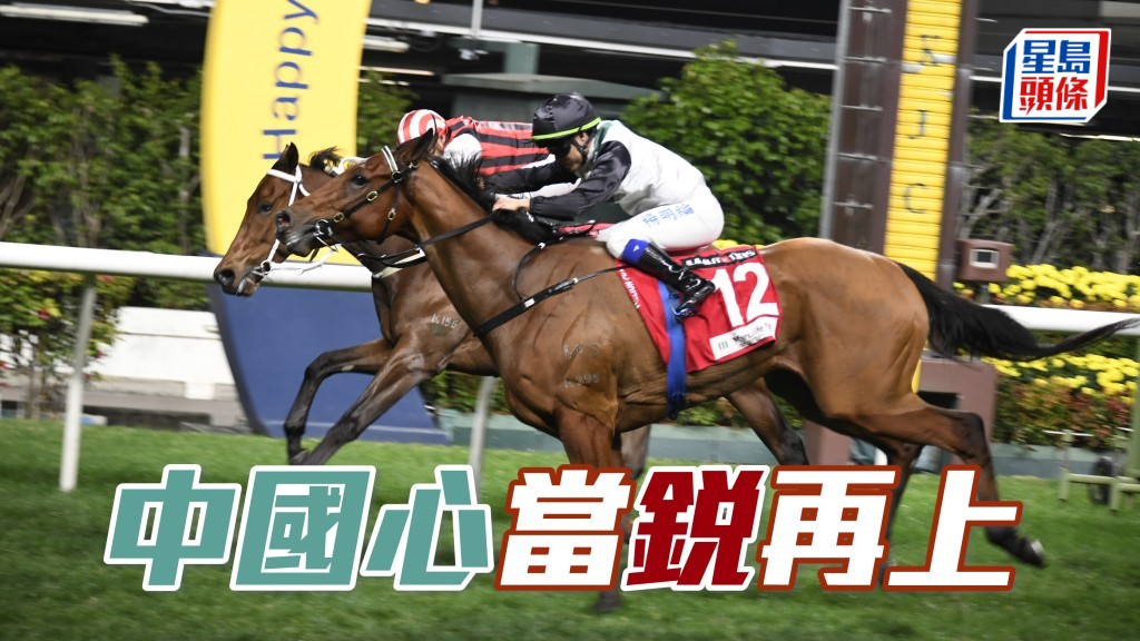 希斯周日沙田赛事将派遣九驹迎战。