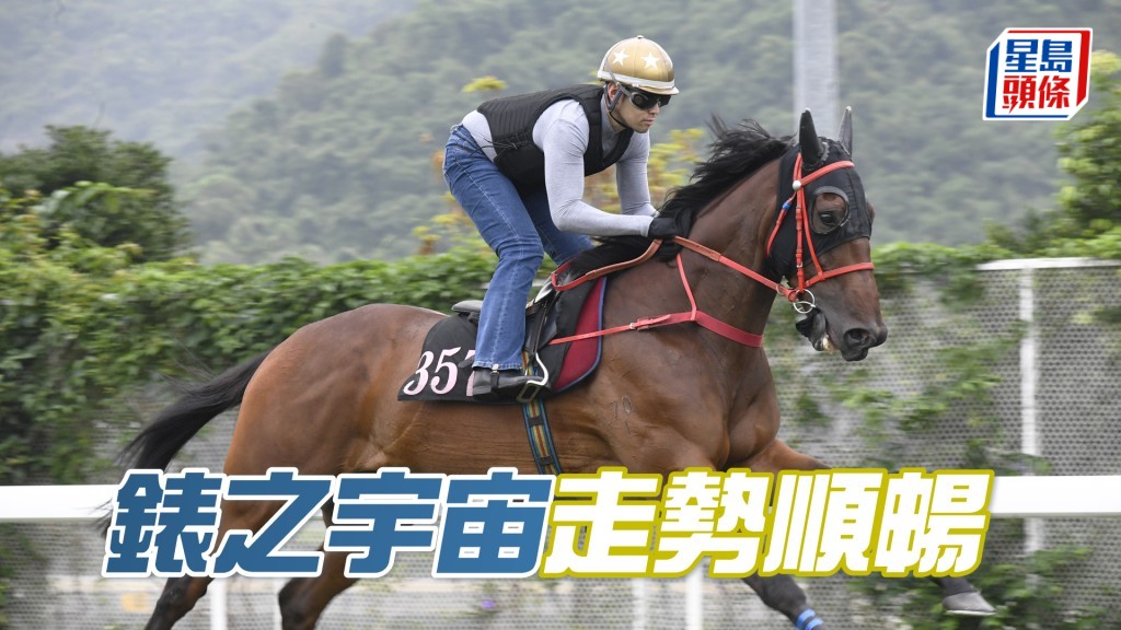 「錶之宇宙」表現淡定試得好，馬身靚展現線條美。