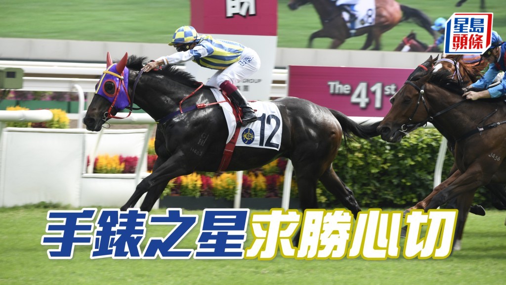 「手錶之星」今戰跑番田草首本戲，戰意自不可同日而語。
