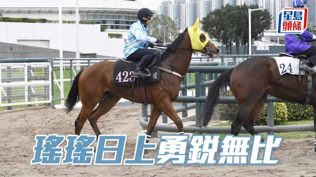 「瑤瑤日上」全程擔高頭走極之神氣，步順力雄火氣充裕。