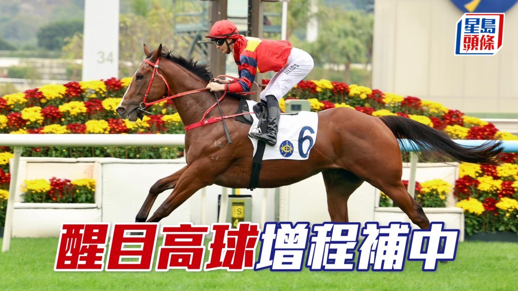 「醒目高球」增程補中