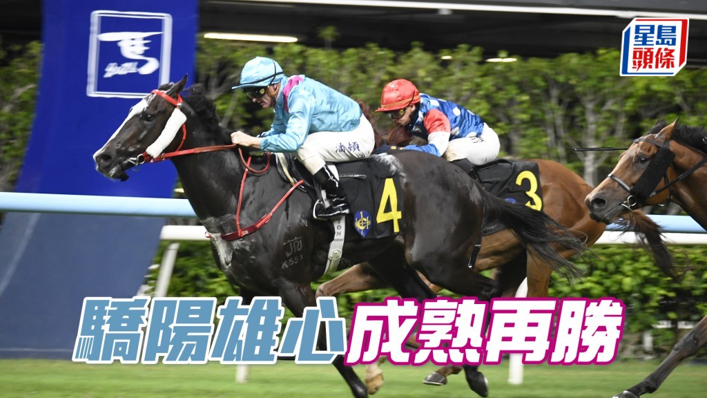 「骄阳雄心」尽管初上三班，但今季转四岁更成熟，争胜机会仍高。