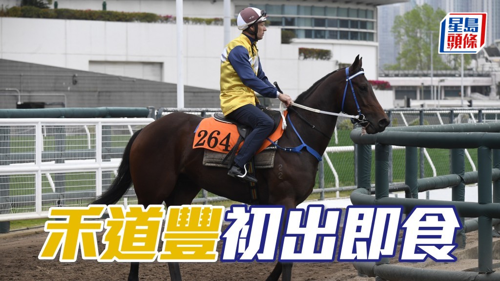 「禾道豐」今仗若有賠率可先敲一注。