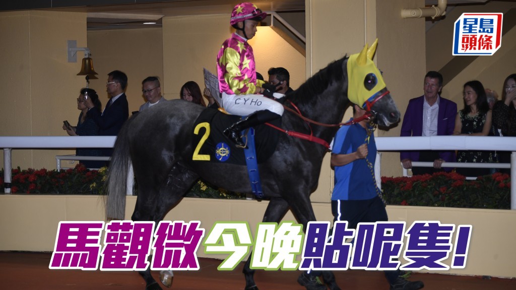 「紅海勁」翻浪谷中