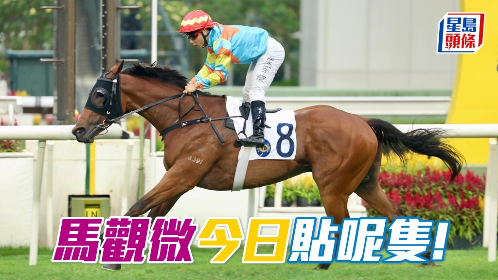 「嘉應奇兵」有力再贏