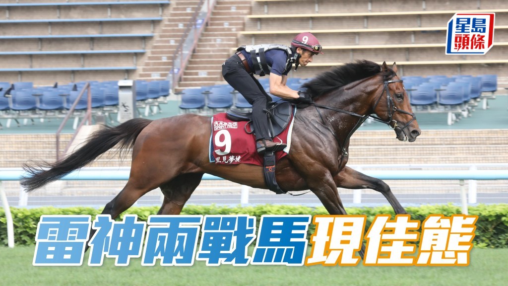 马场浮世绘｜东瀛大军最后备战 雷神两战马现佳态