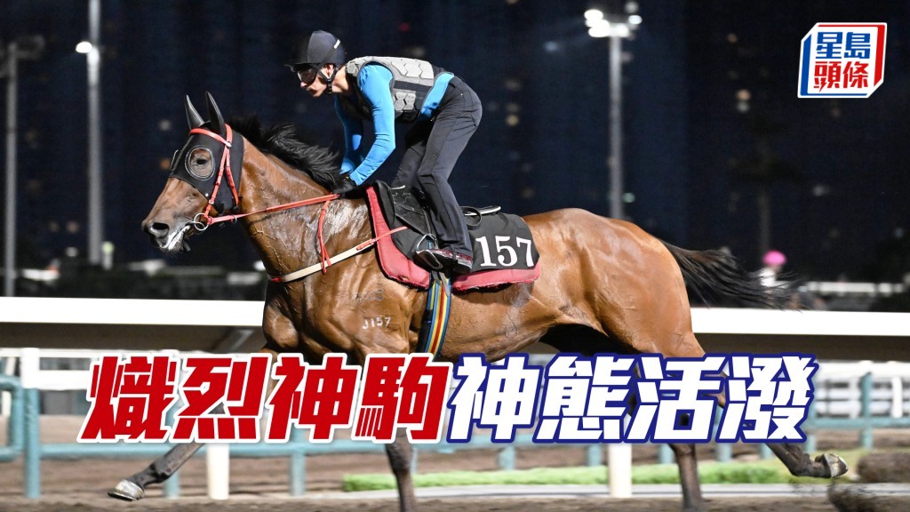 「炽烈神驹」身好靓步轻爽，一直见好不逊胜时。