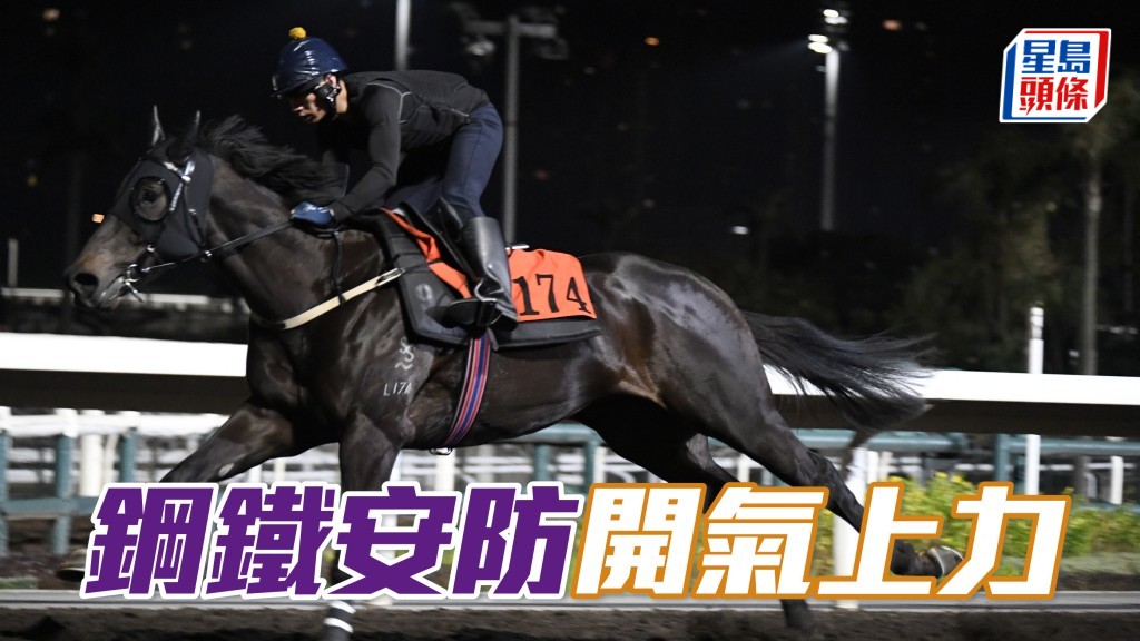 「钢铁安防」(图) 助手踱一圈，唔急唔抢气定神闲，马身好实净，暗火展现双目有神，开气上力进度出色。