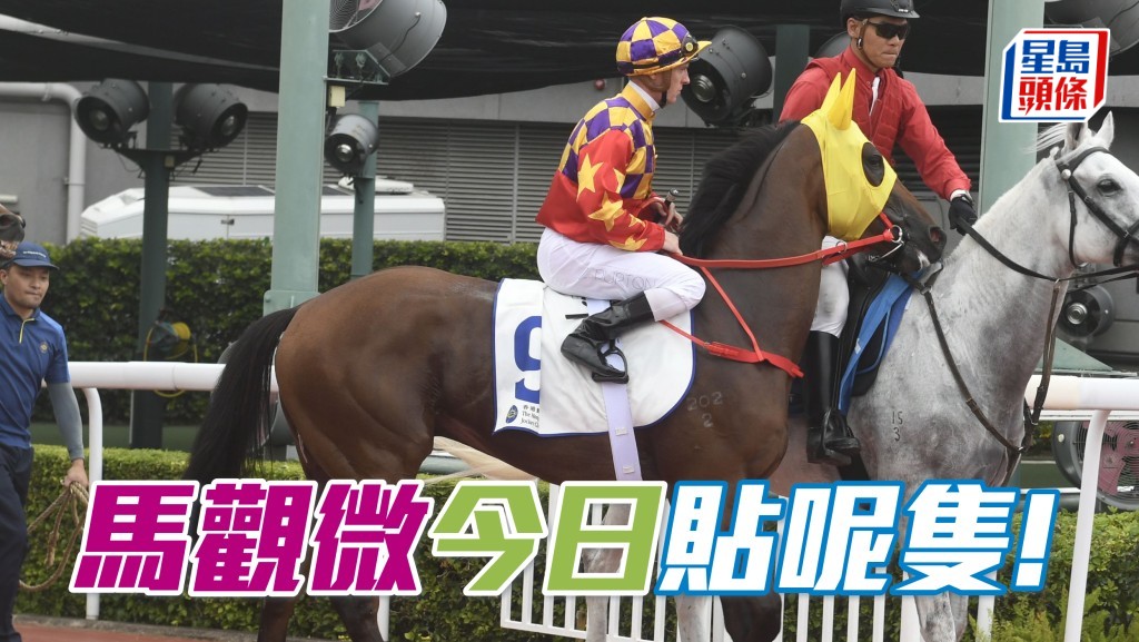 「華麗再贏」開成齋