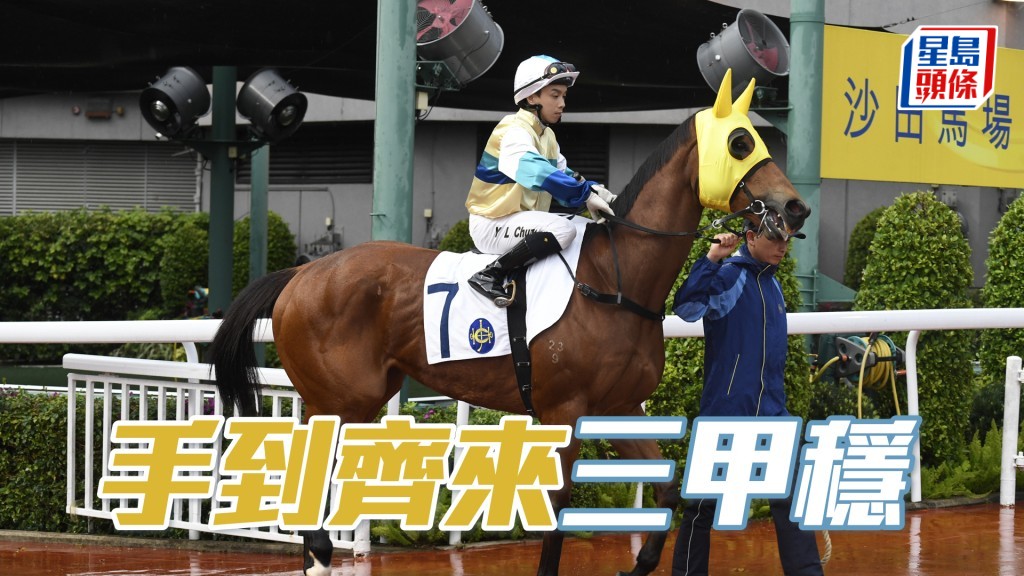 「手到齊來」今次遇快馬不多場合,形勢比上仗更有利,三甲應穩。