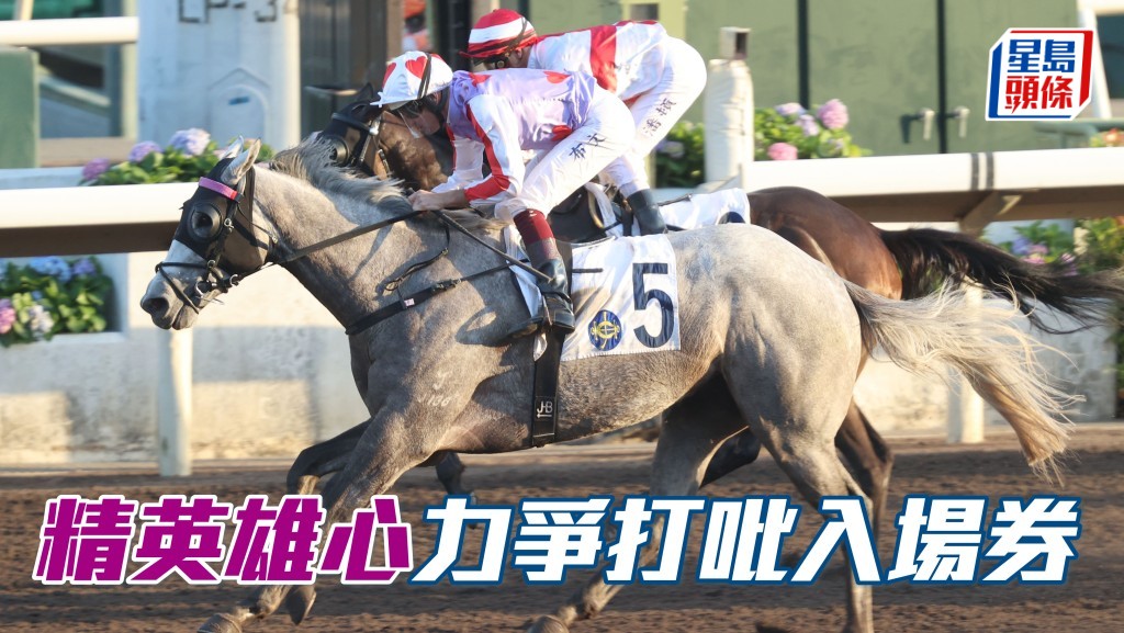 廖康銘冀「精英雄心」能把握最後機會，爭取入選寶馬香港打吡大賽。