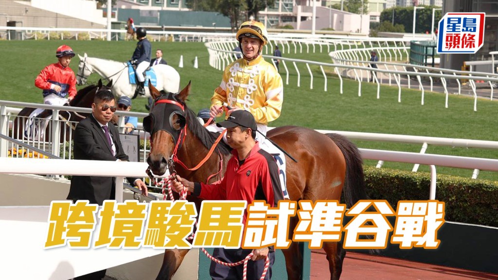 「跨境駿馬」試準谷戰