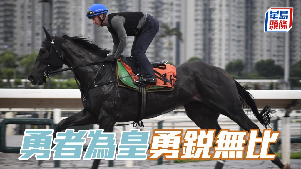 晨光追擊│ 「勇者為皇」勇銳無比