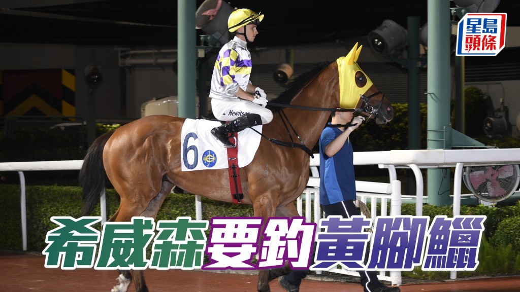 「黃腳鱲」陣中往往可佔先機，近期亦維持勇態，當有足夠條件爭勝。