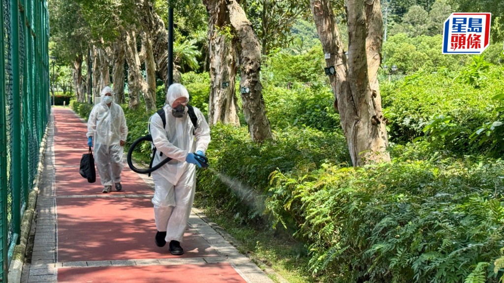 基孔肯雅熱|衞生署:輸入風險持續增加 或會出現本地局部傳播