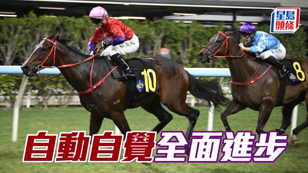 「自動自覺」今仗強配潘頓兼排黃金一檔，值得睇高。