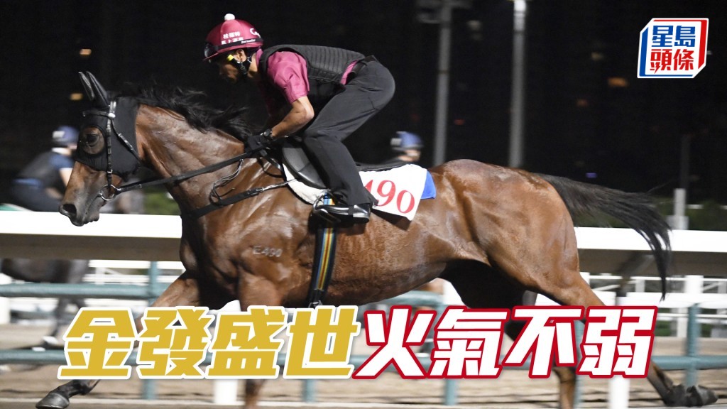 晨光追擊│「金發盛世」火氣不弱