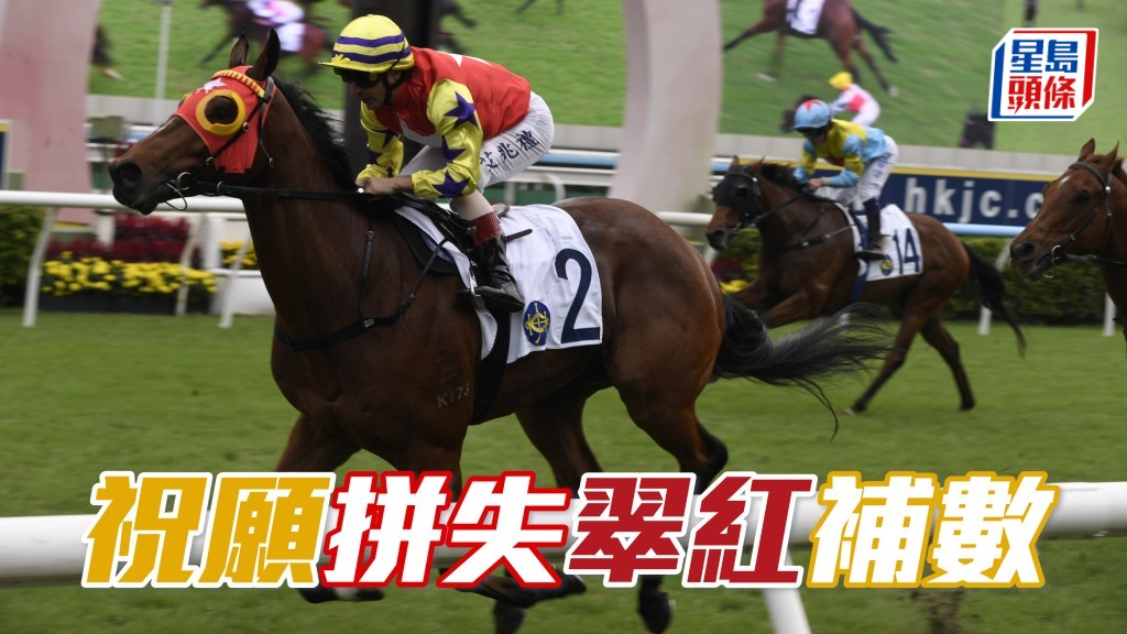 廖康銘上周拼失「祝願」，當然希望為「翠紅」(圖) 爭勝，為幾位馬主好友贏馬補數。