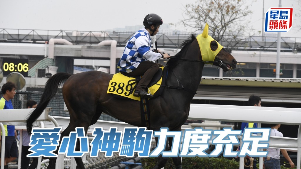 「愛心神駒」火氣不俗狀態對辦。