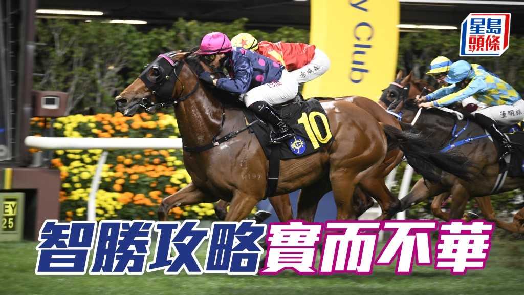 今仗「智勝攻略」(圖) 復排內檔，又可保持特高的上名率。