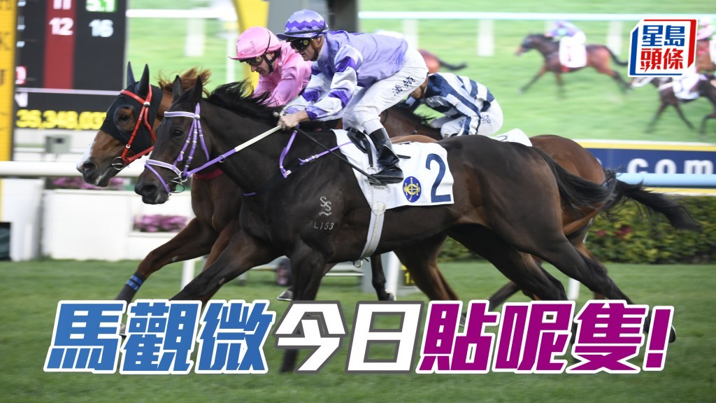 「千帆驹」开斋奥妙