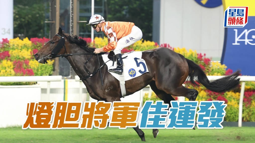 「燈胆將軍」今次幸運地抽一檔，只要寶妮積極霸欄，應可取勝。