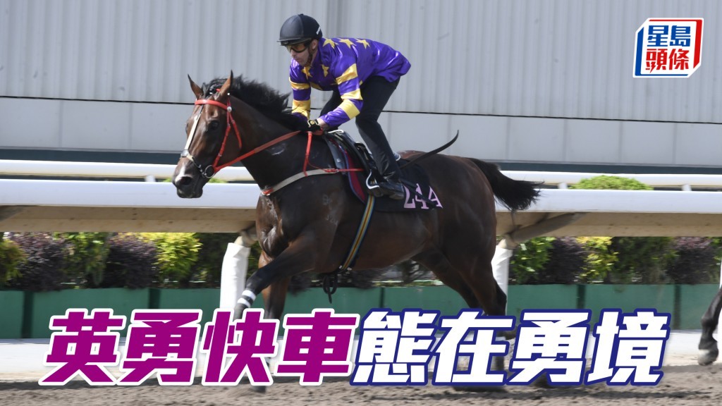 「英勇快車」近日試閘時表現出色，現時狀態仍在勇境。