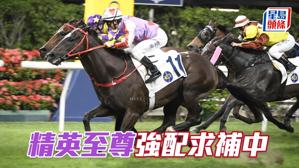「精英至尊」今次強配潘頓,擺明要補中交代。