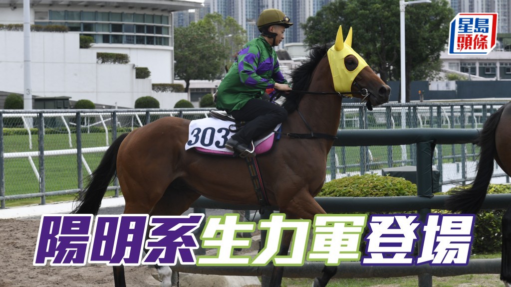 黃氏家族對威哥投以信任一票，相信呂健威都希望為「翼羽陽明」(圖) 建功，報答「陽明」系黃氏家族的支持。