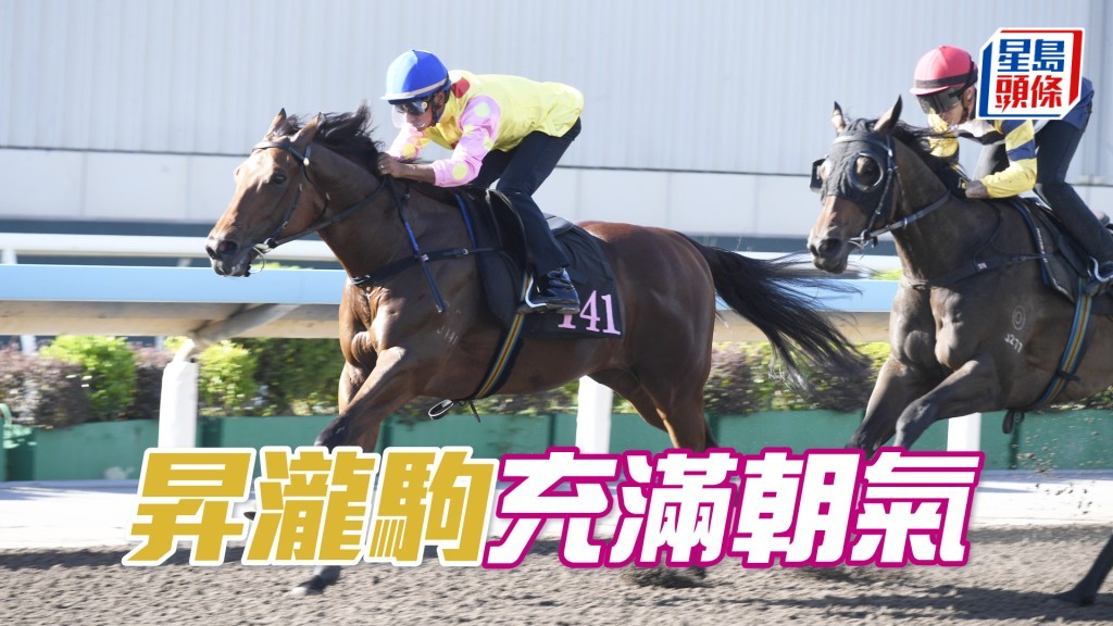 「昇瀧駒」目光銳利神生步爽，單講狀態相當出色。
