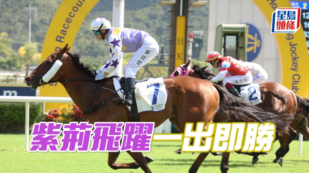 「紫荆飞跃」一出即胜