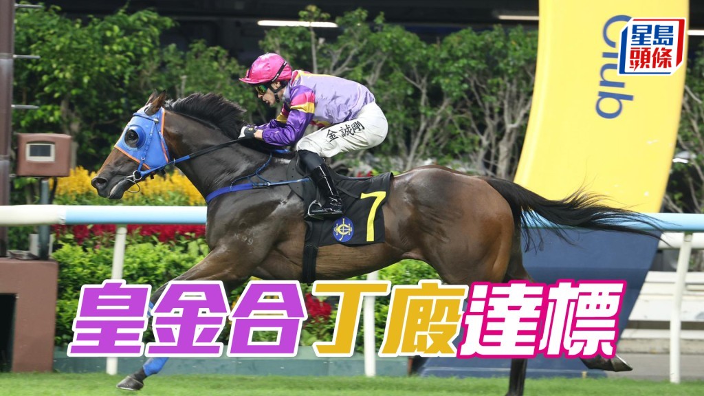 「皇金合」丁廄達標