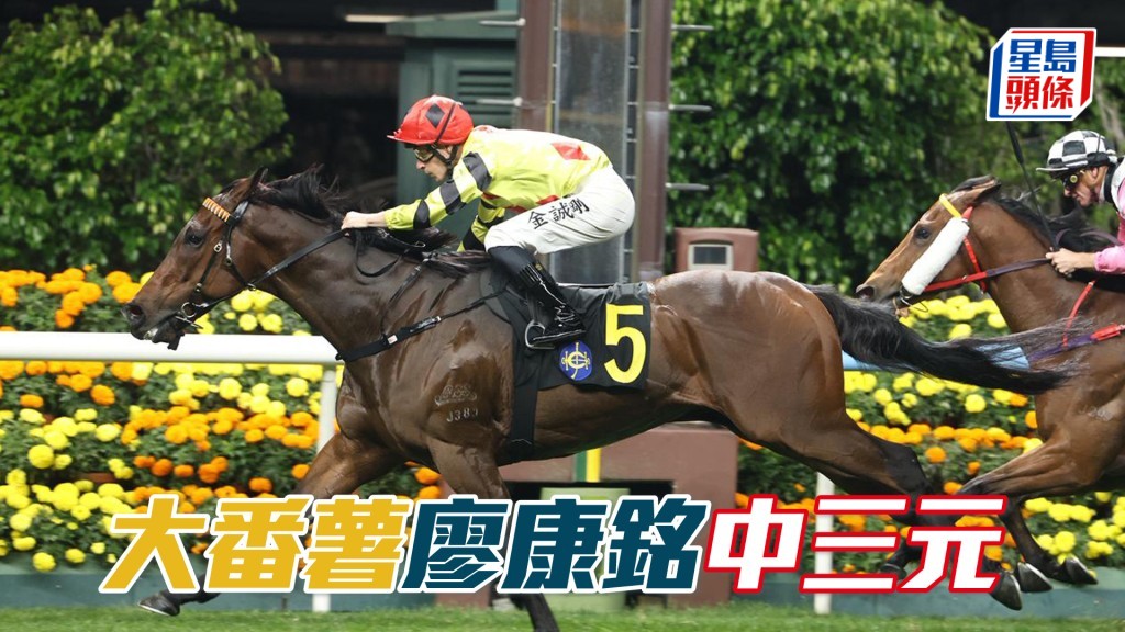 「大番薯」廖康铭中三元