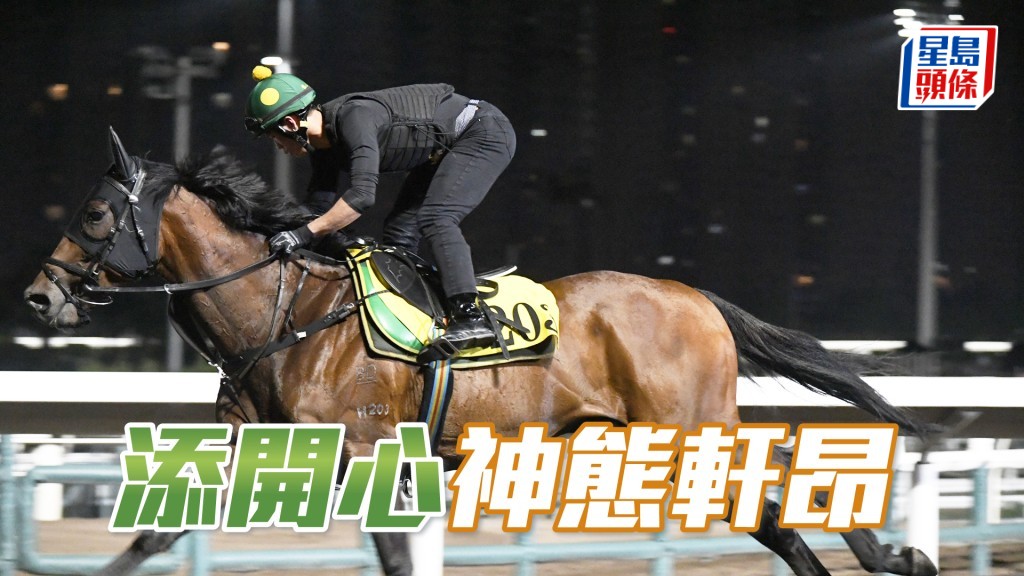 「添開心」心火旺盛但無汗濕，佳態保持有餘。