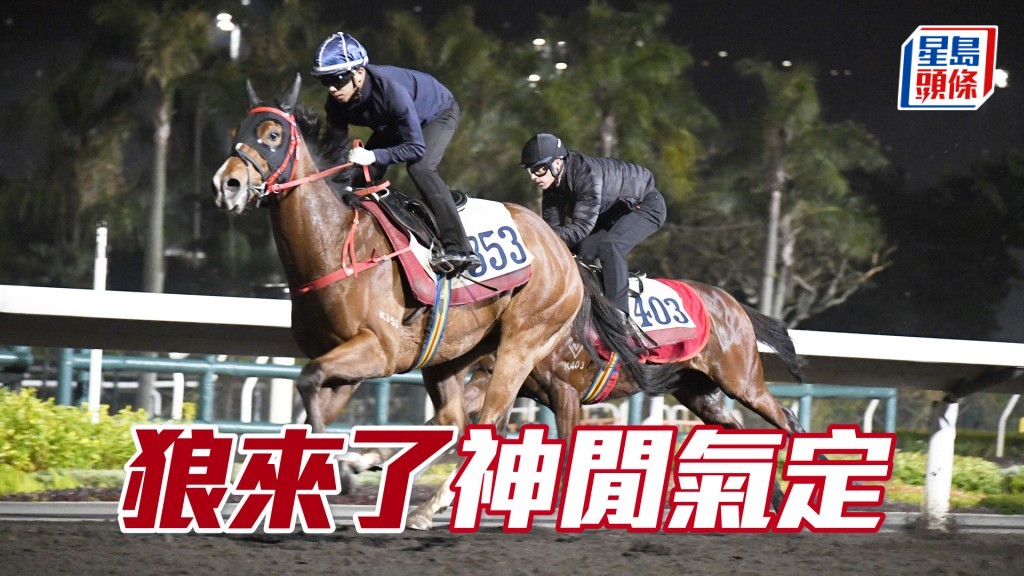  「狼來了」跑姿順暢落腳輕巧，狀態好且不斷進步。