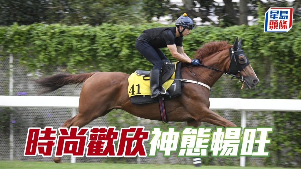 「時尚歡欣」精神爽利步順輕巧，馬身壯毛色潤澤。