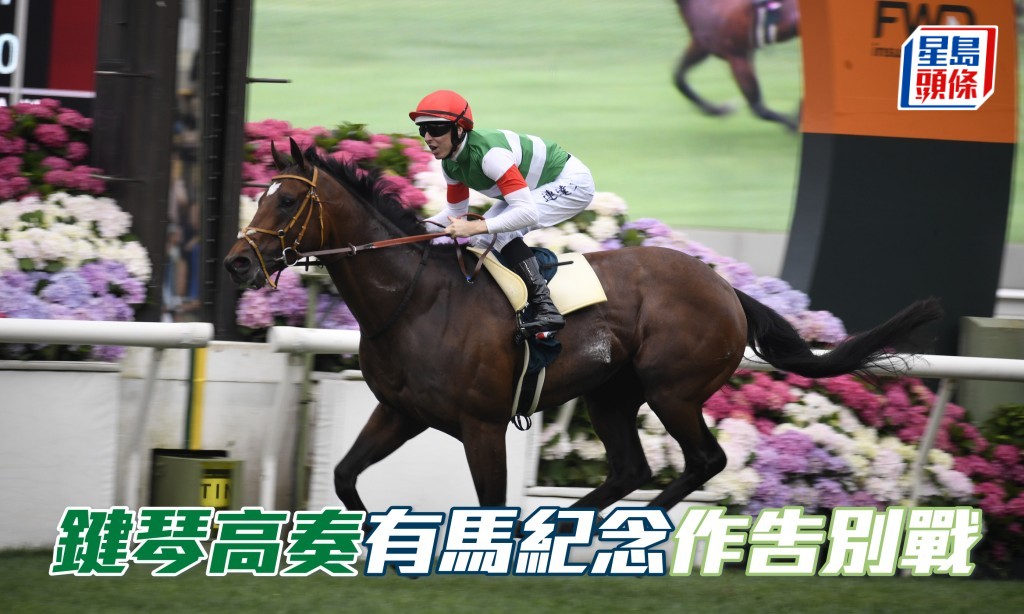 上屆香港盃亞軍和女皇盃冠軍「鍵琴高奏」(畾)，將於下周日有馬紀念登場作競賽生涯的最後一戰，之後便會退役出任種馬。