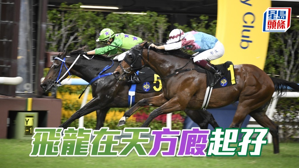 「飛龍在天」方廄起孖