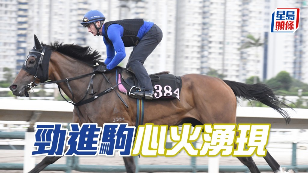 「勁進駒」雙目炯炯有神現朝氣，勇態未見低落。